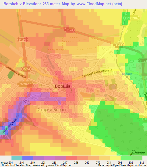 Borshchiv,Ukraine Elevation Map