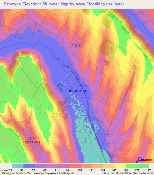 Berezyne,Ukraine Elevation Map