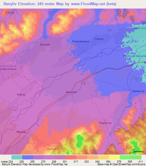 Banyliv,Ukraine Elevation Map
