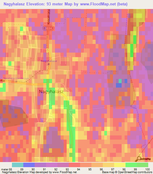 Nagyhalasz,Hungary Elevation Map