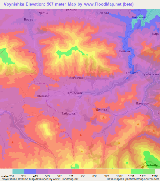 Voynishka,Bulgaria Elevation Map