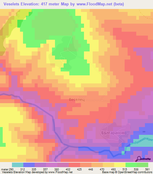 Veselets,Bulgaria Elevation Map