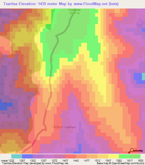 Tsaritsa,Bulgaria Elevation Map