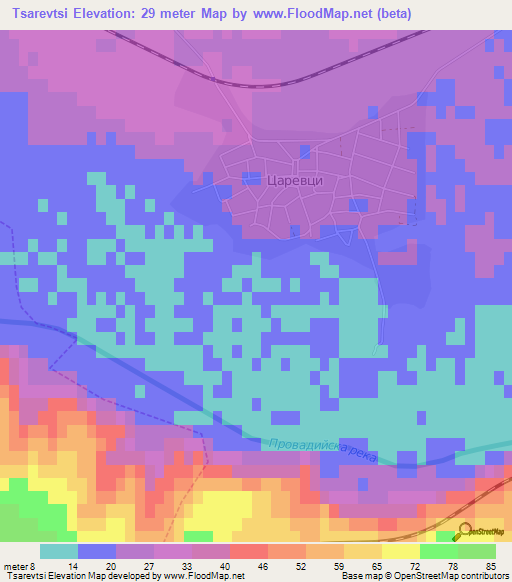 Tsarevtsi,Bulgaria Elevation Map