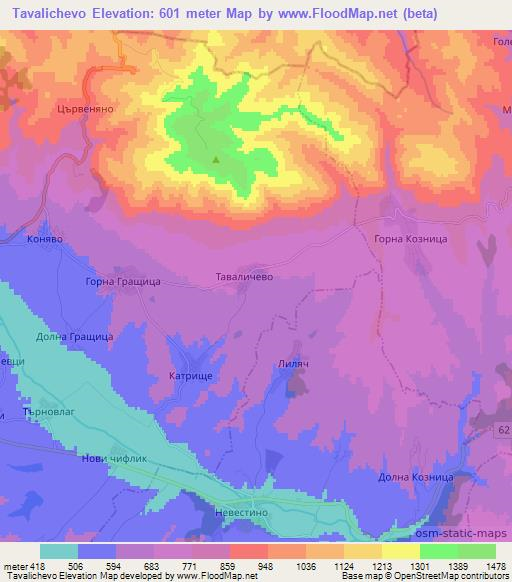 Tavalichevo,Bulgaria Elevation Map