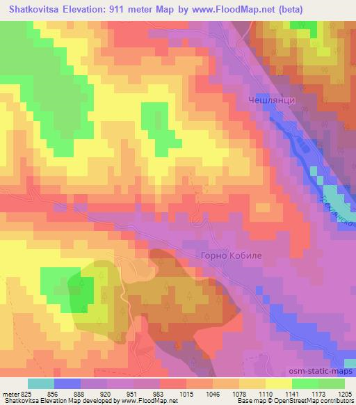 Shatkovitsa,Bulgaria Elevation Map