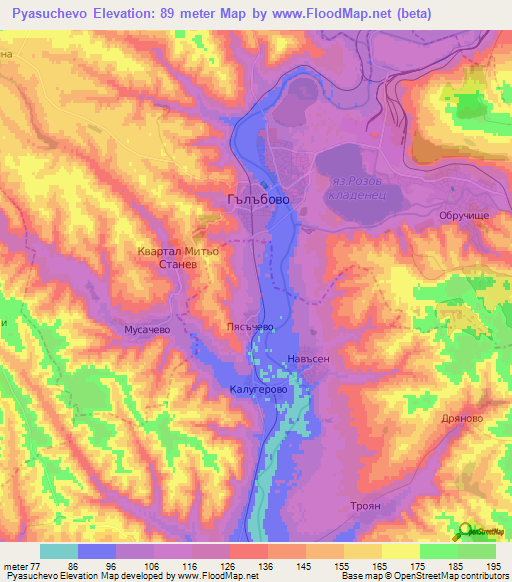 Pyasuchevo,Bulgaria Elevation Map