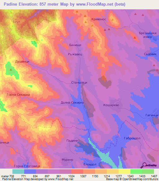 Padine,Bulgaria Elevation Map
