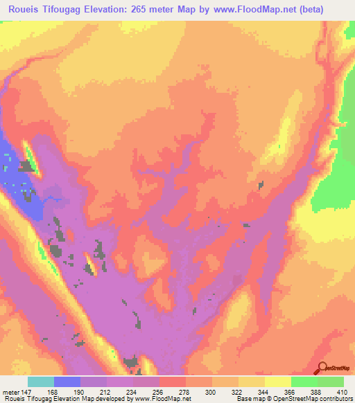 Roueis Tifougag,Mauritania Elevation Map