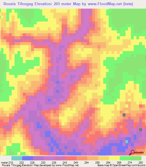 Roueis Tifougag,Mauritania Elevation Map