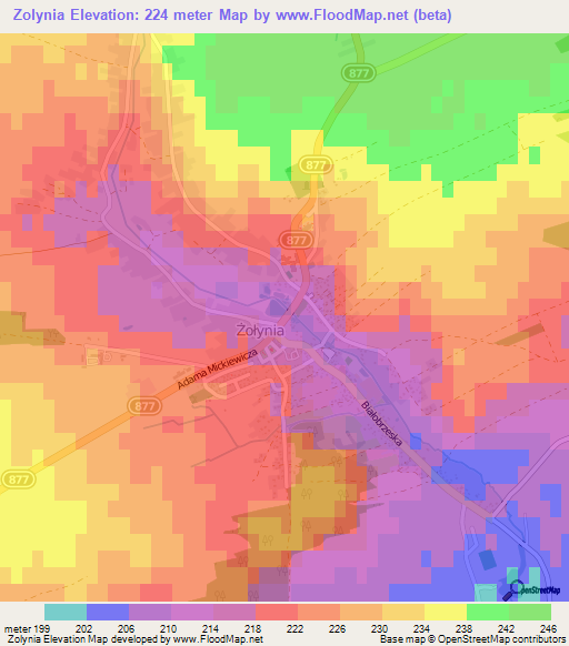 Zolynia,Poland Elevation Map