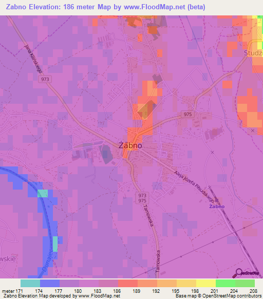 Zabno,Poland Elevation Map