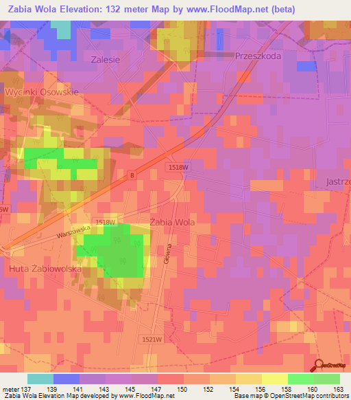 Zabia Wola,Poland Elevation Map