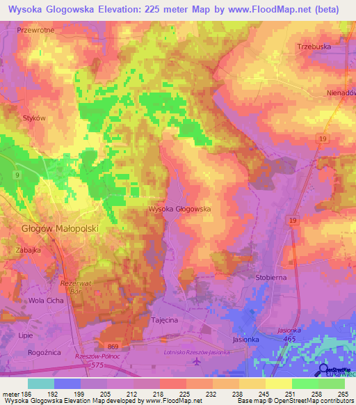 Wysoka Glogowska,Poland Elevation Map