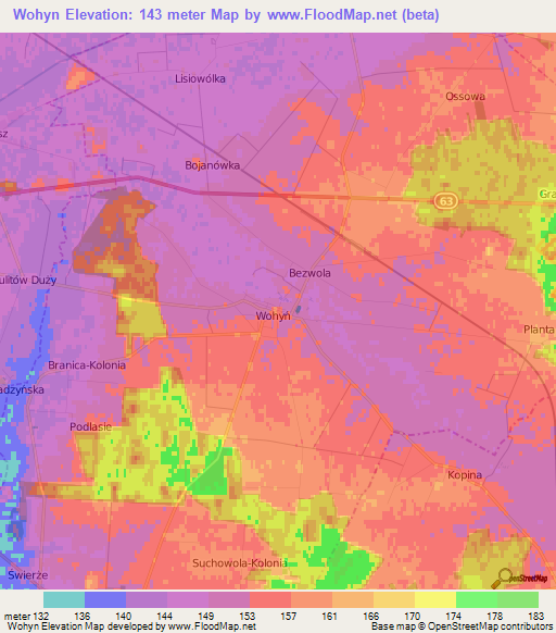 Wohyn,Poland Elevation Map