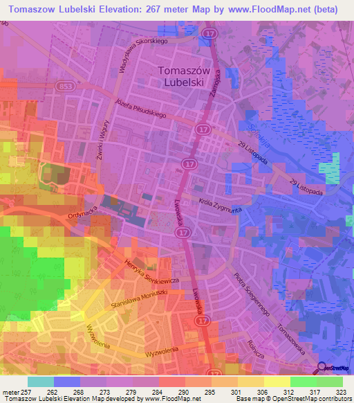 Tomaszow Lubelski,Poland Elevation Map
