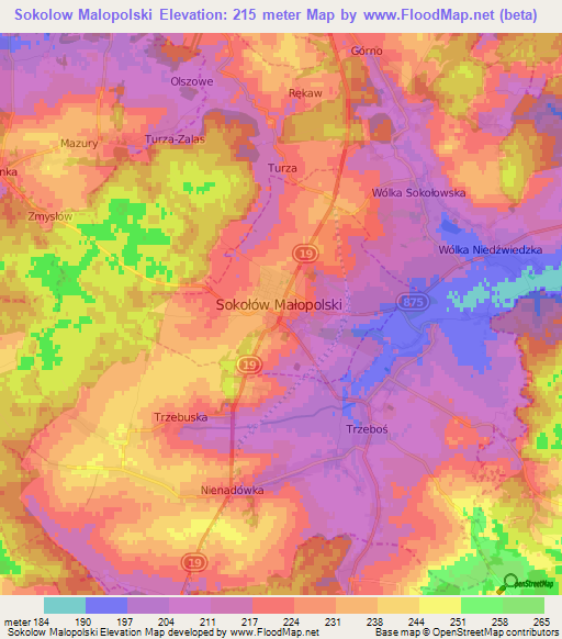 Sokolow Malopolski,Poland Elevation Map