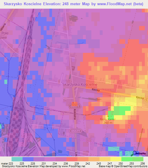 Skarzysko Koscielne,Poland Elevation Map