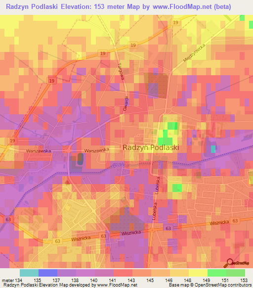 Radzyn Podlaski,Poland Elevation Map