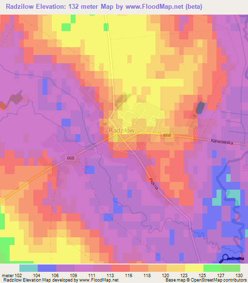 Radzilow,Poland Elevation Map
