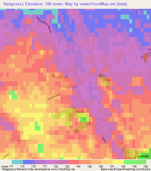 Radgoszcz,Poland Elevation Map