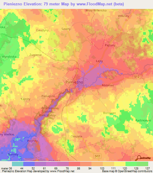 Pieniezno,Poland Elevation Map