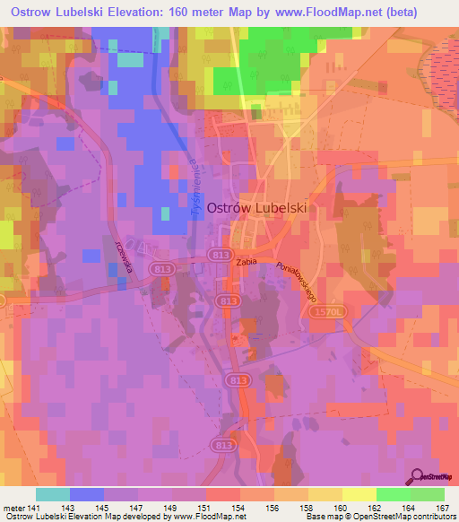 Ostrow Lubelski,Poland Elevation Map