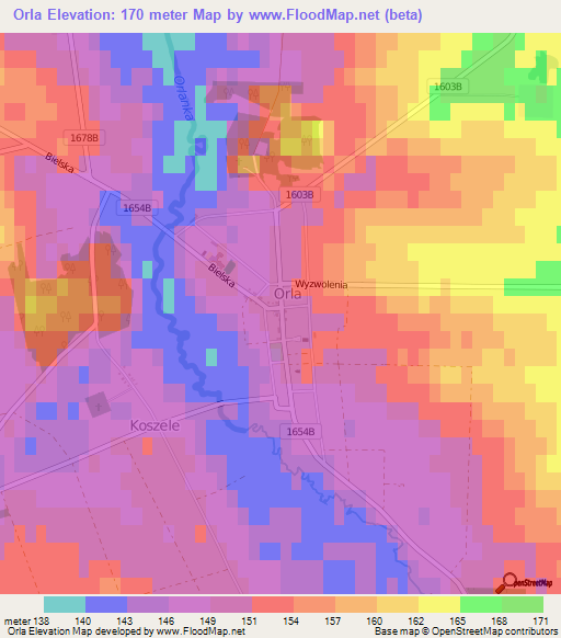Orla,Poland Elevation Map