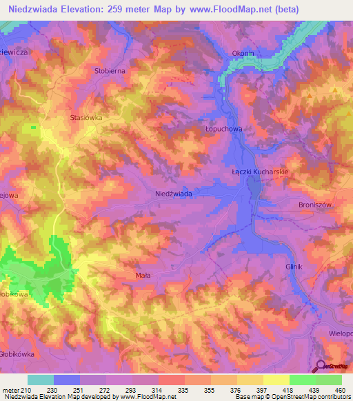 Niedzwiada,Poland Elevation Map