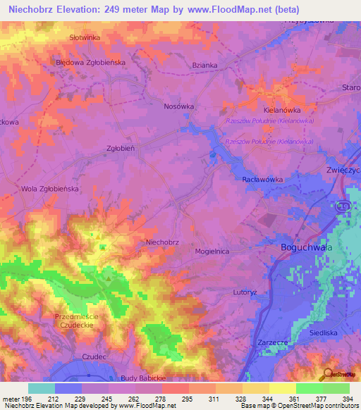 Niechobrz,Poland Elevation Map