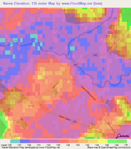 Narew,Poland Elevation Map