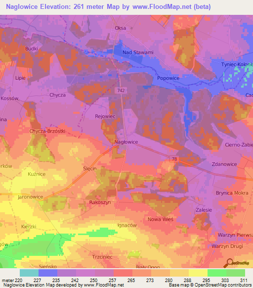 Naglowice,Poland Elevation Map