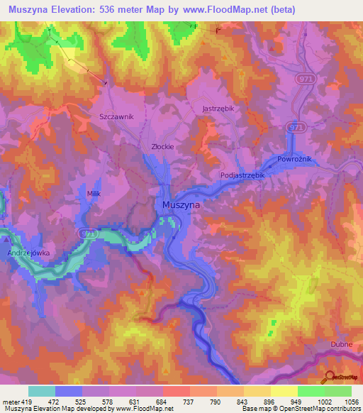 Muszyna,Poland Elevation Map
