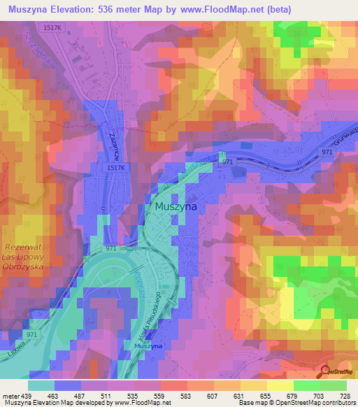 Muszyna,Poland Elevation Map