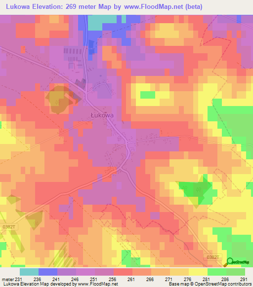 Lukowa,Poland Elevation Map