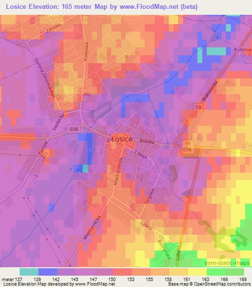 Losice,Poland Elevation Map