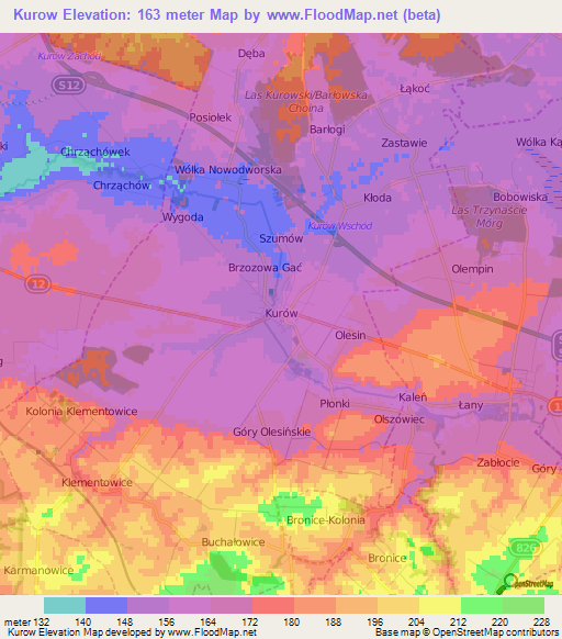 Kurow,Poland Elevation Map