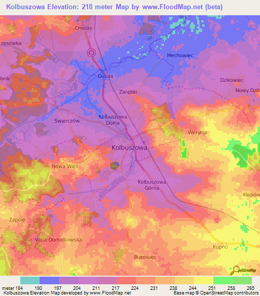 Kolbuszowa,Poland Elevation Map