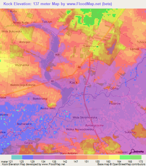 Kock,Poland Elevation Map