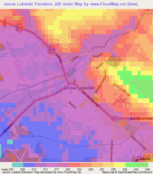 Janow Lubelski,Poland Elevation Map