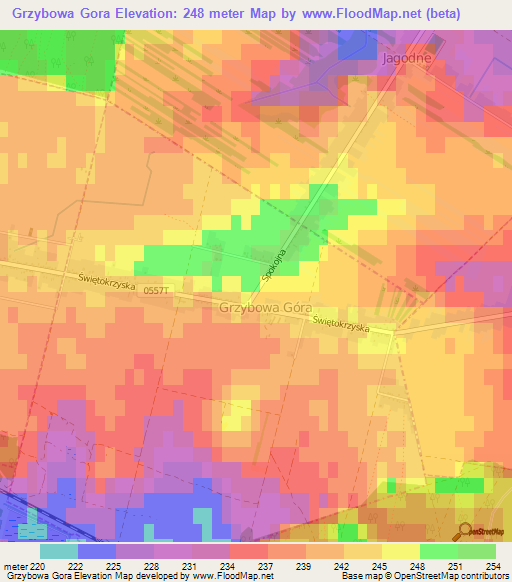 Grzybowa Gora,Poland Elevation Map