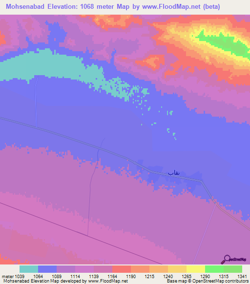 Mohsenabad,Iran Elevation Map
