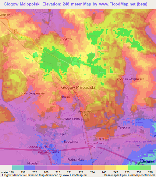 Glogow Malopolski,Poland Elevation Map