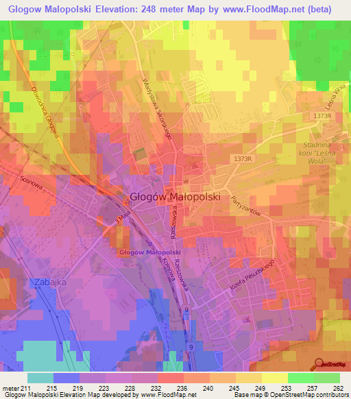 Glogow Malopolski,Poland Elevation Map