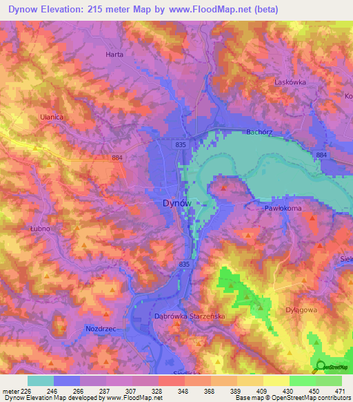 Dynow,Poland Elevation Map