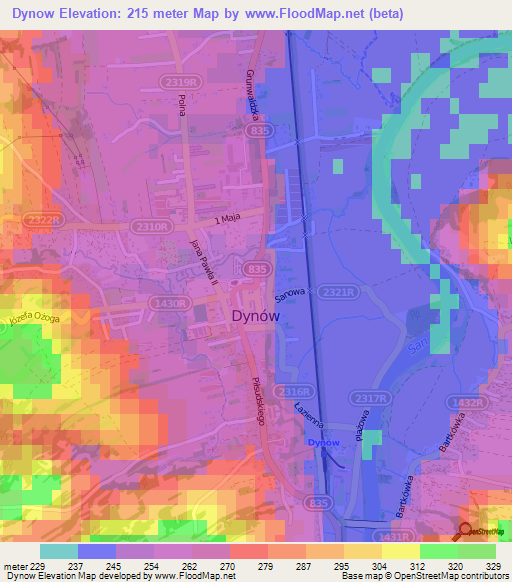 Dynow,Poland Elevation Map