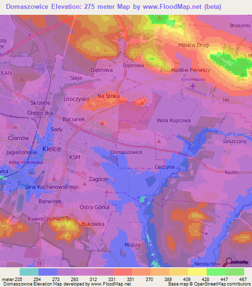 Domaszowice,Poland Elevation Map