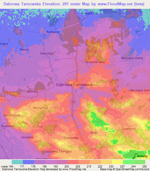 Dabrowa Tarnowska,Poland Elevation Map