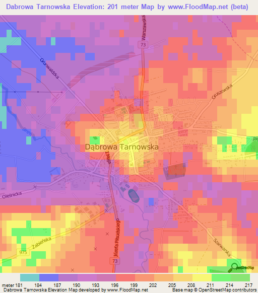 Dabrowa Tarnowska,Poland Elevation Map