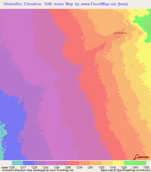 Ditshetlho,Botswana Elevation Map
